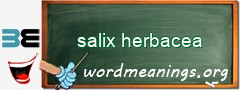 WordMeaning blackboard for salix herbacea